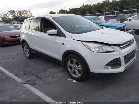 1FMCU0G71FUA36202 — 2015 Ford Escape SE, Передняя часть (Front End), фото до ремонта