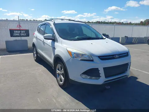 1FMCU9GX7GUA78704 — 2016 Ford Escape SE, Задняя часть (Rear), фото до ремонта
