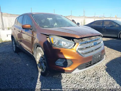 1FMCU0GD7HUA73120 — 2017 Ford Escape SE, Левый бок (Left Side), фото до ремонта