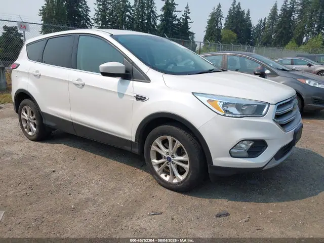1FMCU9GD4HUC51747 — 2017 Ford Escape SE, Естественный износ (Normal Wear & Tear), фото до ремонта