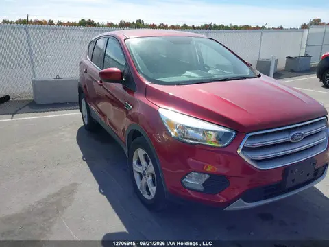 1FMCU9GD4KUB13634 — 2019 Ford Escape SE, Передняя часть (Front), фото до ремонта