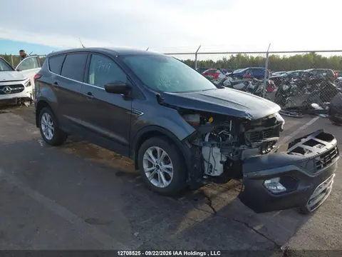 1FMCU9GD5KUC40473 — 2019 Ford Escape SE, Передняя часть (Front), фото до ремонта