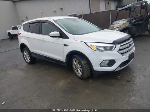 1FMCU9GD6KUC16649 — 2019 Ford Escape SE, Передняя часть (Front), фото до ремонта