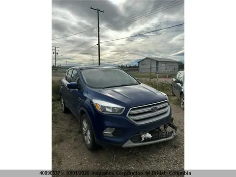 1FMCU9GD9KUC14006 — 2019 Ford Escape SE, Передняя часть (Front), фото до ремонта