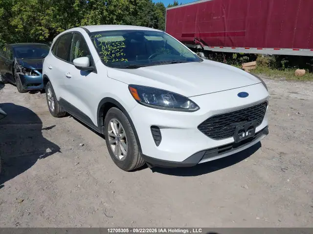 1FMCU0G61LUA16552 — 2020 Ford Escape SE, Передняя часть (Front), фото до ремонта