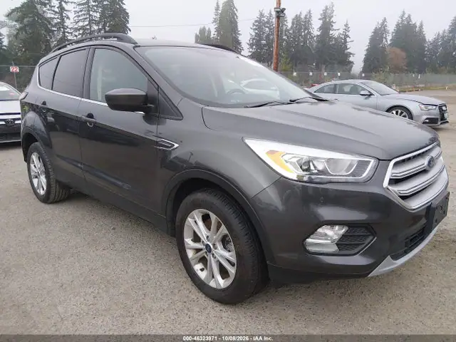 1FMCU9HD6JUD51725 — 2018 Ford Escape SEL, Естественный износ (Normal Wear & Tear), фото до ремонта