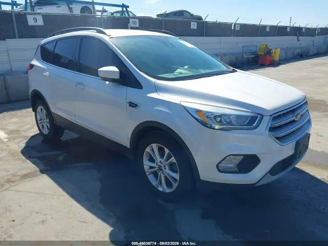 1FMCU0HD0KUC06791 — 2019 Ford Escape SEL, Естественный износ (Normal Wear & Tear), фото до ремонта