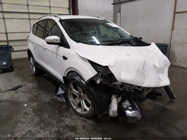 2019 Ford Escape Titanium VIN 1FMCU9J98KUA19549 фото 1