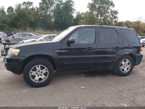 1FMCU94175KA49809 — 2005 Ford Escape, Естественный износ, фото до ремонта