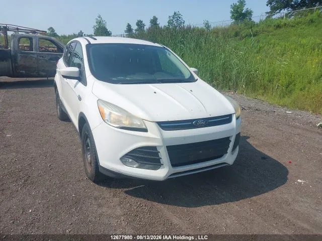 2014 Ford Escape VIN 1FMCU9GX5EUB10482 фото 1