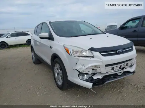 1FMCU9GX3EUC12489 — 2014 Ford Escape, Передняя часть, фото до ремонта