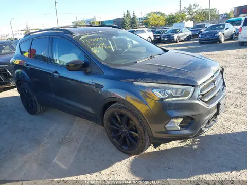 1FMCU0GD8HUA72817 — 2017 Ford Escape, Передняя часть (Front), фото до ремонта