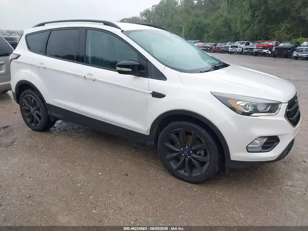 1FMCU9JD0HUC23100 — 2017 Ford Escape, Естественный износ (Normal Wear & Tear), фото до ремонта