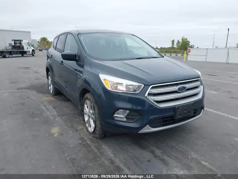 1FMCU0GD8KUB89899 — 2019 Ford Escape, Правый бок (Right Side), фото до ремонта