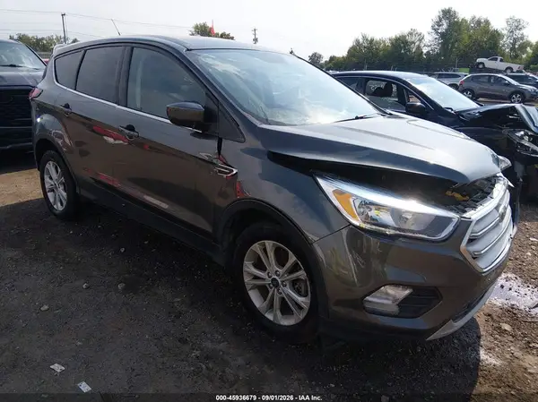 1FMCU9GD1KUA31523 — 2019 Ford Escape, Передняя часть (Front End), фото до ремонта