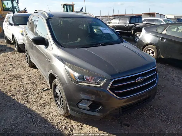 1FMCU9GD0KUA06838 — 2019 Ford Escape, Естественный износ (Normal Wear & Tear), фото до ремонта
