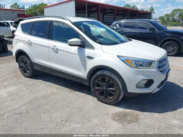 1FMCU0HD5KUC32111 — 2019 Ford Escape, Задняя часть (Rear), фото до ремонта