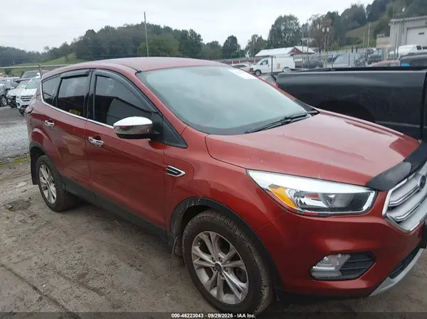 1FMCU9GD0KUA32372 — 2019 Ford Escape, Задняя часть (Rear), фото до ремонта