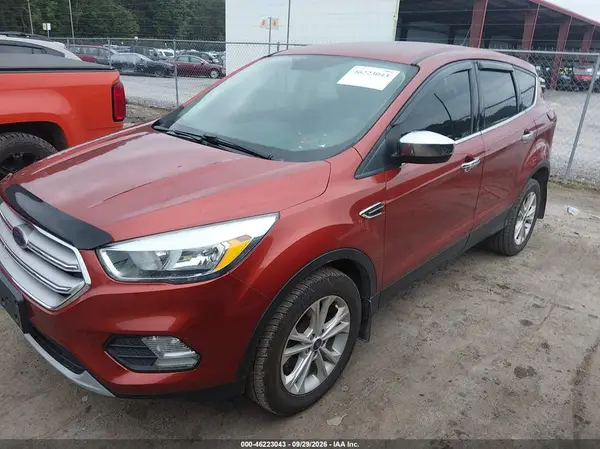 1FMCU9GD0KUA32372 — 2019 Ford Escape, фото 2 с аукциона IAAI, Задняя часть