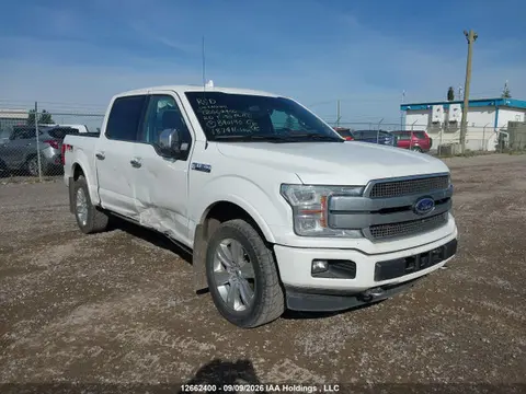 1FTEW1E46LFB40190 — 2020 Ford F-150 Platinum, Правый бок (Right Side), фото до ремонта