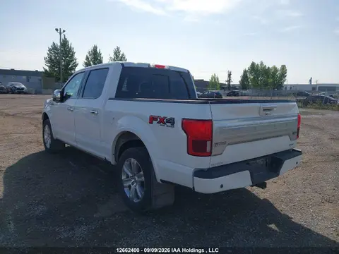 2020 Ford F-150 Platinum VIN 1FTEW1E46LFB40190 фото 3