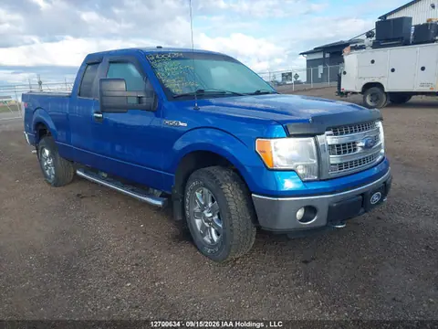 1FTEX1EM7EFB03813 — 2014 Ford F-150 XLT, Левый бок (Left Side), фото до ремонта