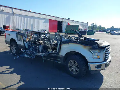 1FTFW1EG8GKE96734 — 2016 Ford F-150 XLT, Полный пожар (Total Burn), фото до ремонта