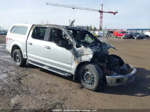 2017 Ford F-150 Xlt VIN 1FTEW1EGXHFB55972 фото 1