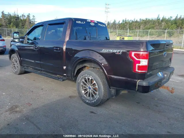 1FTEW1E46KFB86309 — 2019 Ford F-150 XLT, фото 3 с аукциона IAAI 29.09.2026, Передняя часть