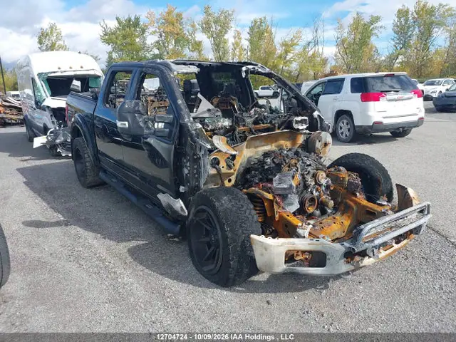 1FTEW1E49KFC33753 — 2019 Ford F-150 XLT, Следы пожара снаружи (Exterior Burn), фото до ремонта