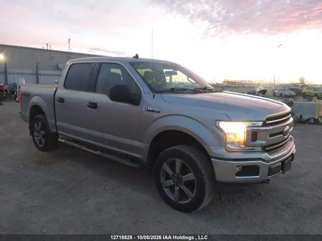 1FTEW1EP5LKD99139 — 2020 Ford F-150 XLT, Град (Hail), фото до ремонта