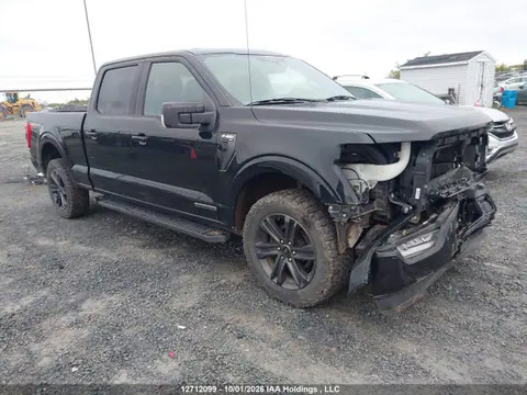 1FTFW1ED8MFB20819 — 2021 Ford F-150 XLT, Передняя часть (Front), фото до ремонта