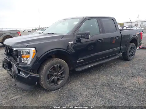 2021 Ford F-150 Xlt VIN 1FTFW1ED8MFB20819 фото 2