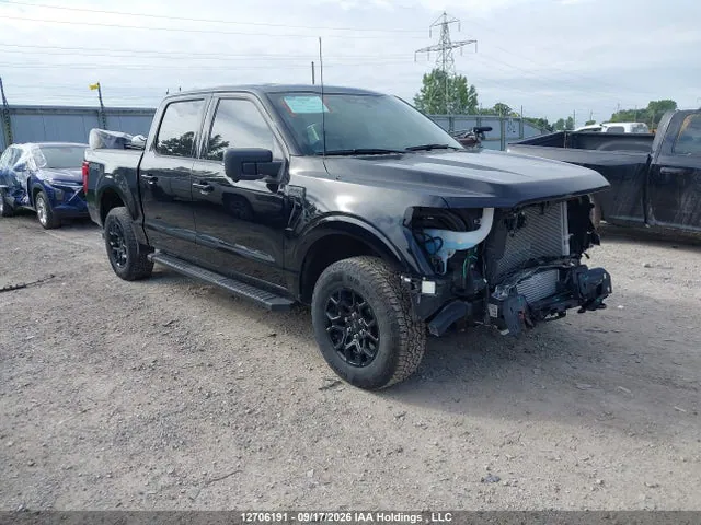 2024 Ford F-150 Xlt VIN 1FTFW3L89RKE19560 фото 1