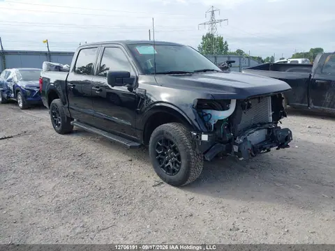 1FTFW3L89RKE19560 — 2024 Ford F-150 XLT, Передняя часть (Front), фото до ремонта