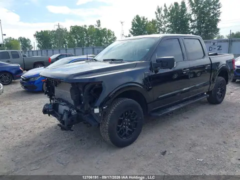 2024 Ford F-150 Xlt VIN 1FTFW3L89RKE19560 фото 2