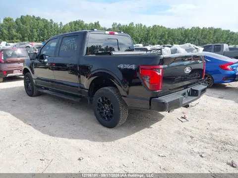2024 Ford F-150 Xlt VIN 1FTFW3L89RKE19560 фото 3