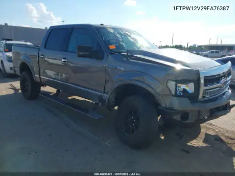 1FTPW12V29FA76387 — 2009 Ford F-150, Передняя часть, фото до ремонта