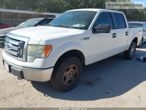 2010 Ford F-150 Fx4/Harley-Davidson/King Ranch/Lariat/Platinum/Xl/Xlt VIN 1FTFW1EV5AFC30053 фото 3