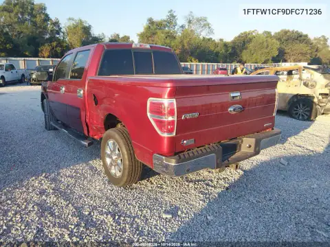 1FTFW1CF9DFC71236 — 2013 Ford F-150, фото 4 с аукциона IAAI, Левый бок
