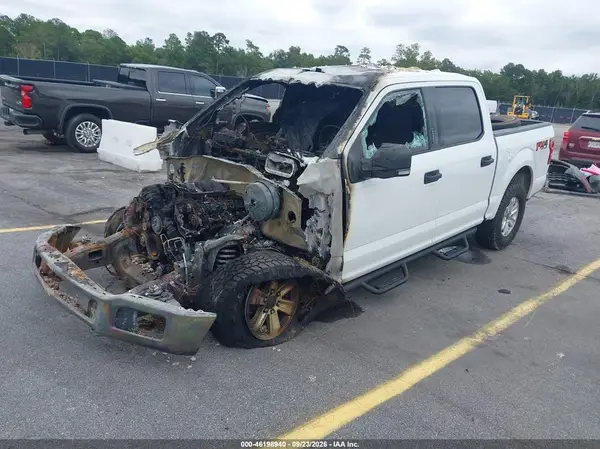 1FTEW1E51KFB64033 — 2019 Ford F-150, фото 2 с аукциона IAAI, Кузов