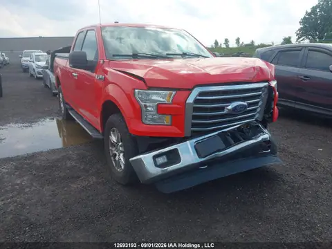 1FTFX1EF0FFC38770 — 2015 Ford F150 Super Cab, Передняя часть (Front), фото до ремонта