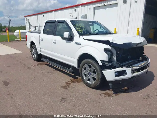 1FTEW1EP0KFB53591 — 2019 Ford F150 Supercrew, Передняя часть (Front), фото до ремонта