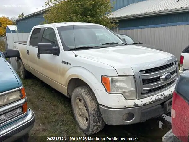 1FTFW1EF8EFC35990 — 2014 Ford F150 XLT Supercrew, Град (Hail), фото до ремонта