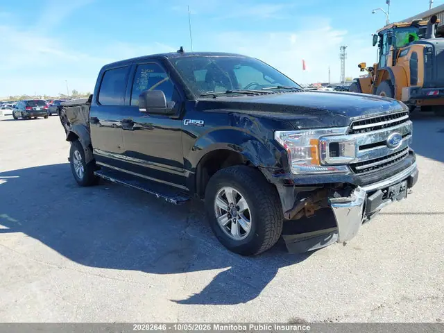 1FTEW1EPXJKF24195 Ford F150 XLT Supercrew 2018 — повреждение Град, фото до ремонта
