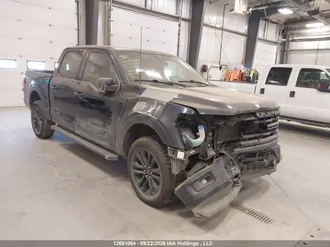 1FTFW3L84RFA60353 — 2024 Ford F150 XLT, Передняя часть (Front), фото до ремонта