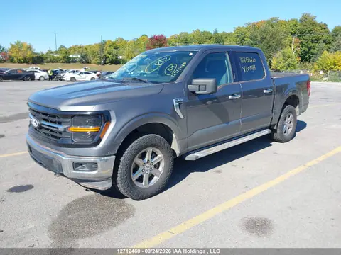 2024 Ford F150 Xlt VIN 1FTFW3L5XRKE05186 фото 2