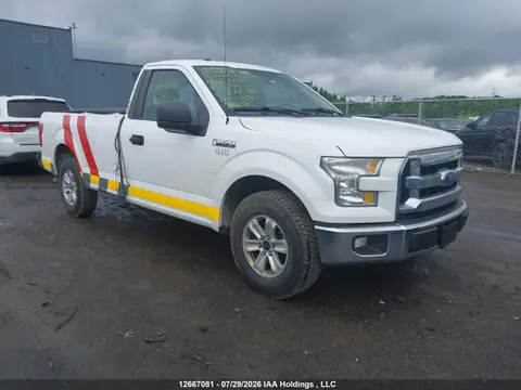1FTMF1C88FKD72481 — 2015 Ford F150, Задняя часть (Rear Window), фото до ремонта