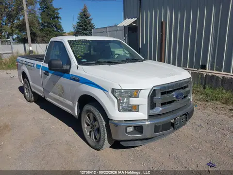 1FTMF1C86GKF24033 — 2016 Ford F150, Задняя часть (Rear), фото до ремонта