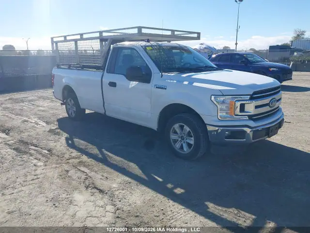1FTMF1CB0KKE42898 — 2019 Ford F150, Правый бок (Right Side), фото до ремонта